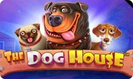Wingaga – The Dog House